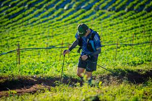 BIB: 
                            <button type="button" onclick="openModal(19160281)" class="btn btn-primary btn-sm float-right btn-popup" data-toggle="modal" data-target=".modal-high-quality">
                        <i class="fas fa-shopping-cart"></i> Add to Cart
                    </button>
                                            <button type="button" onclick="isThisMe(19160281, true)" class="btn btn-success btn-sm float-right btn-popup btn-isme hidden" data-toggle="tooltip" data-placement="bottom" title="นี่คือรูปของคุณใช่ไหม คลิกที่นี่เพื่อเอาเข้าอัลบั้ม">
                        <i class="fas fa-plus"></i> Add to album
                    </button>
                    <button type="button" onclick="isThisMe(19160281, false)" class="btn btn-warning btn-sm float-right btn-popup btn-isnotme hidden">
                        <i class="fas fa-ban"></i> Remove from album
                    </button>